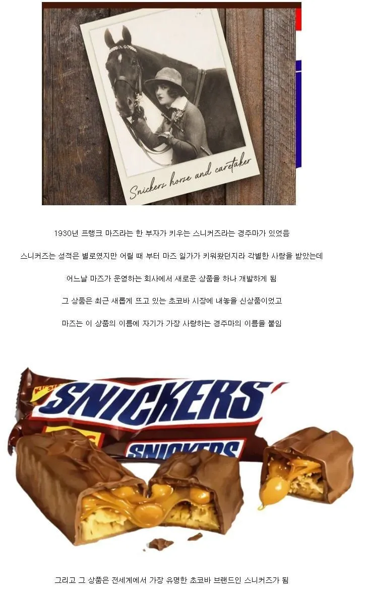 세계에서 가장 유명해진 어느 경주마의 이름