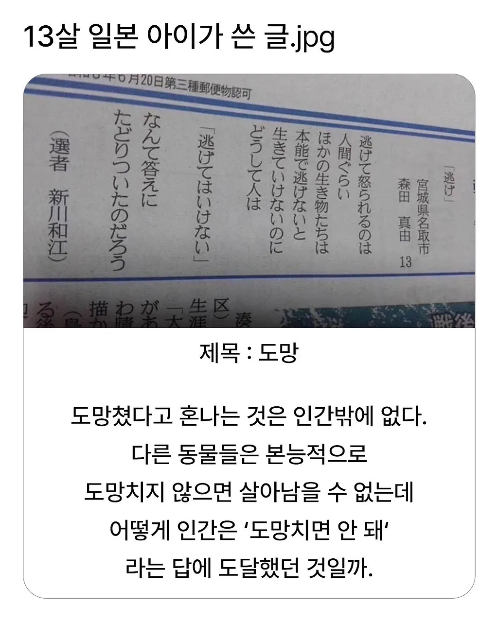 13살 일본 아이가 쓴 글.jpg