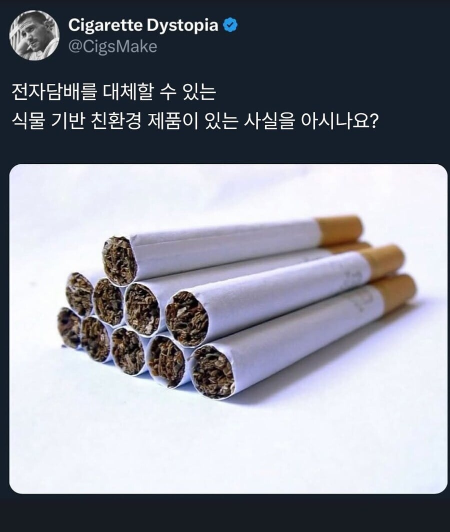 의외로 전자담배를 대체할 수 있는 제품
