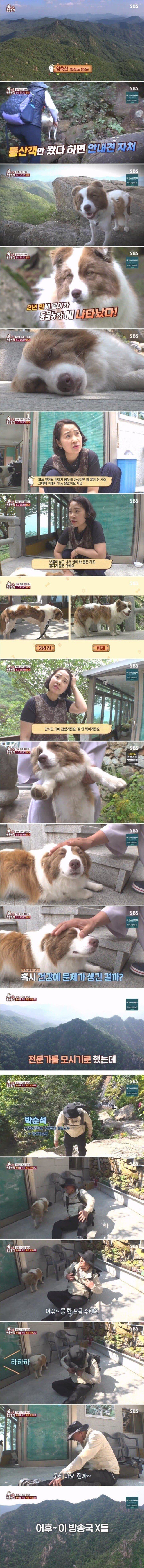 전문가에게 욕먹은 동물농장 제작진