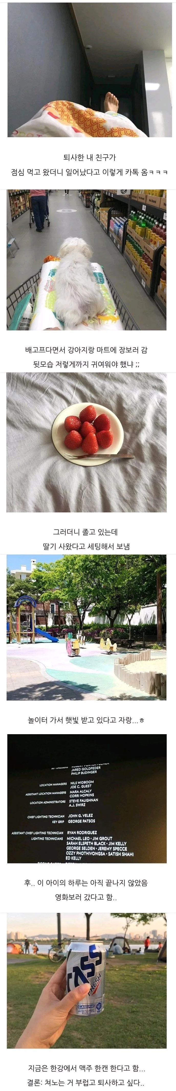 퇴사한 친구가 보내온 일상.jpg