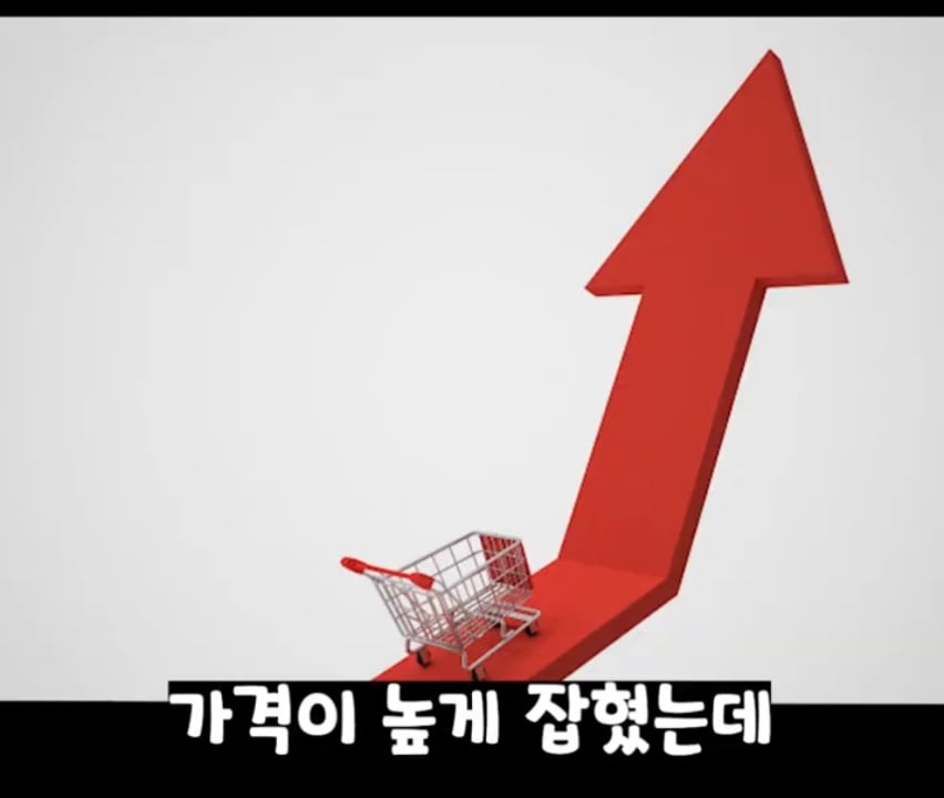 닌텐도 덕에 관세를 이해한 미국인들