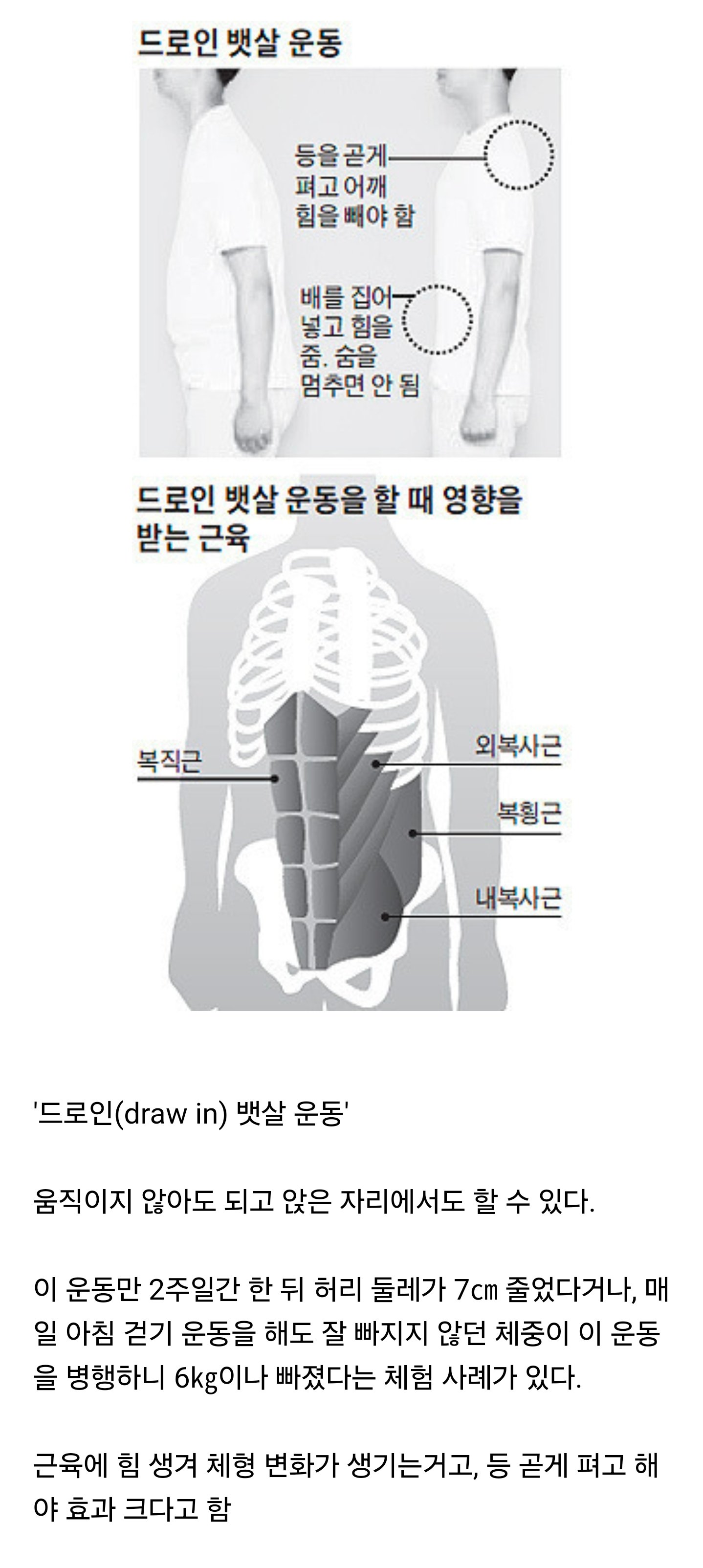 배에 힘만 줘도 뱃살 빠진다