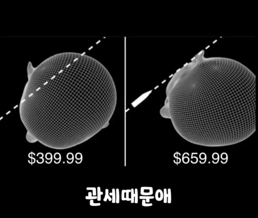 닌텐도 덕에 관세를 이해한 미국인들