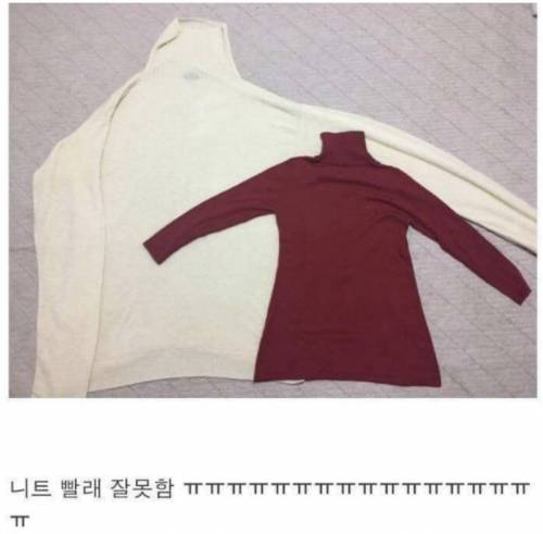 니트 빨래 잘못함 ㅠㅠ