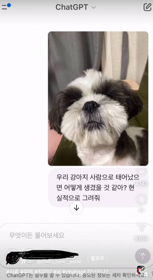지피티야 우리 강아지 사람으로 태어나면 어떻게 생겼을지 그려줘