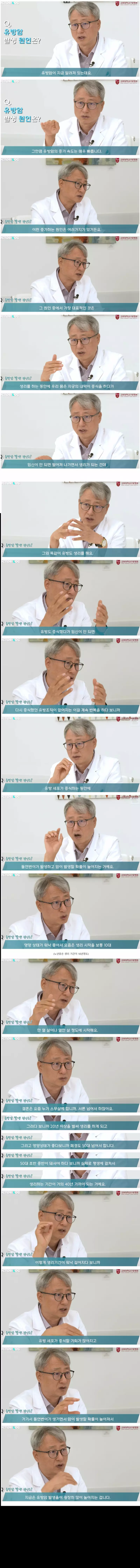 유방암 발생 원인