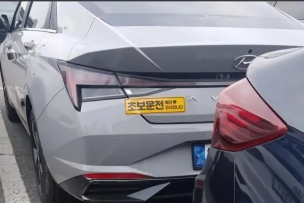 찐 초보운전