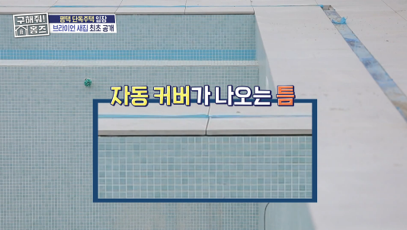 서울이었다면 100억 넘었을 거라는 브라이언 뉴하우스