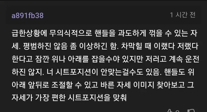 운전 이상하게 하는지 물어 보는 개붕이