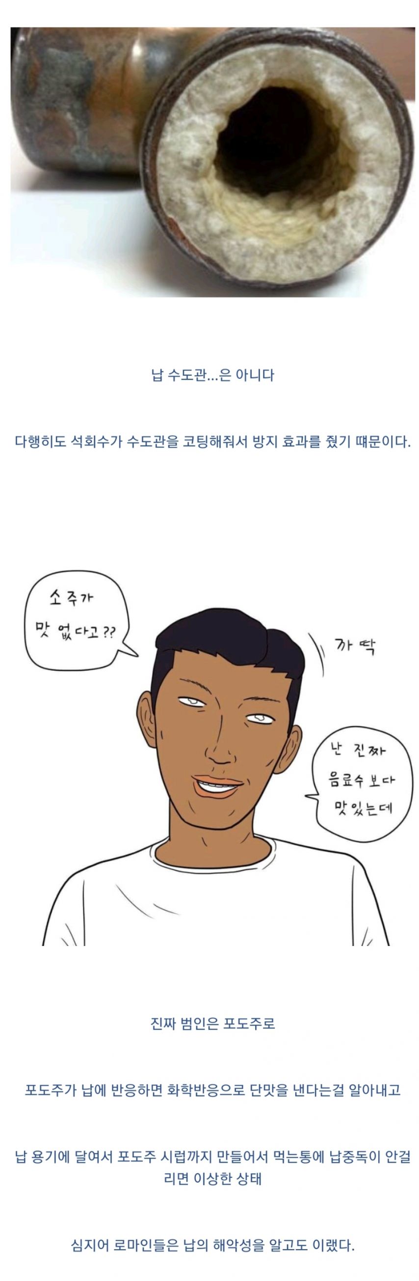 로마 제국의 납중독이 심각했던 이유