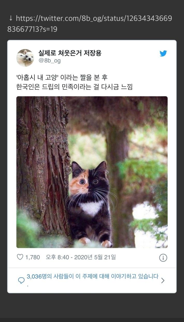 역시 한국인은 드립의 민족