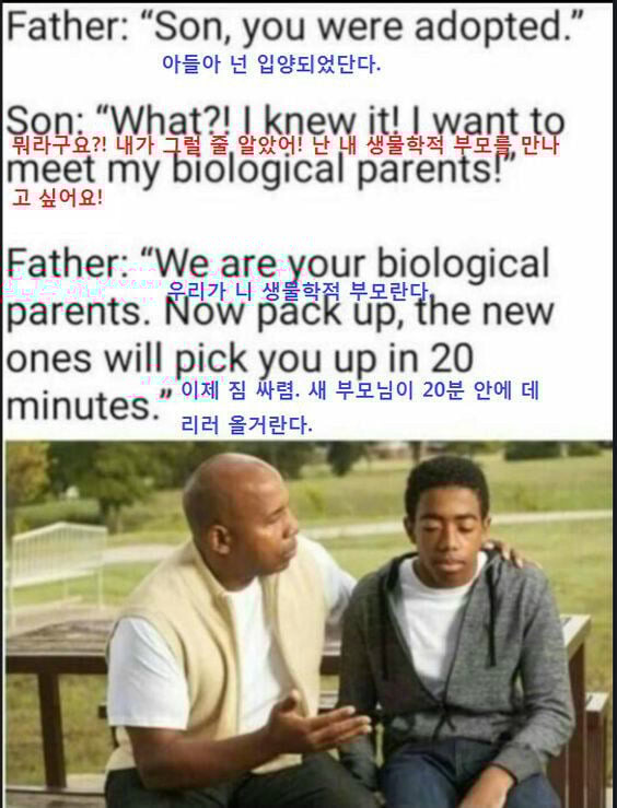 아들아 넌 입양 되었단다