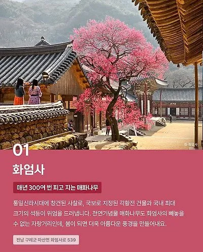 CNN이 선정한 한국의 아름다운 사찰 10곳