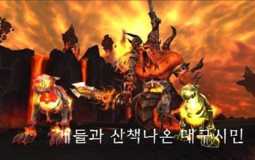 대구 시민의 개 산책