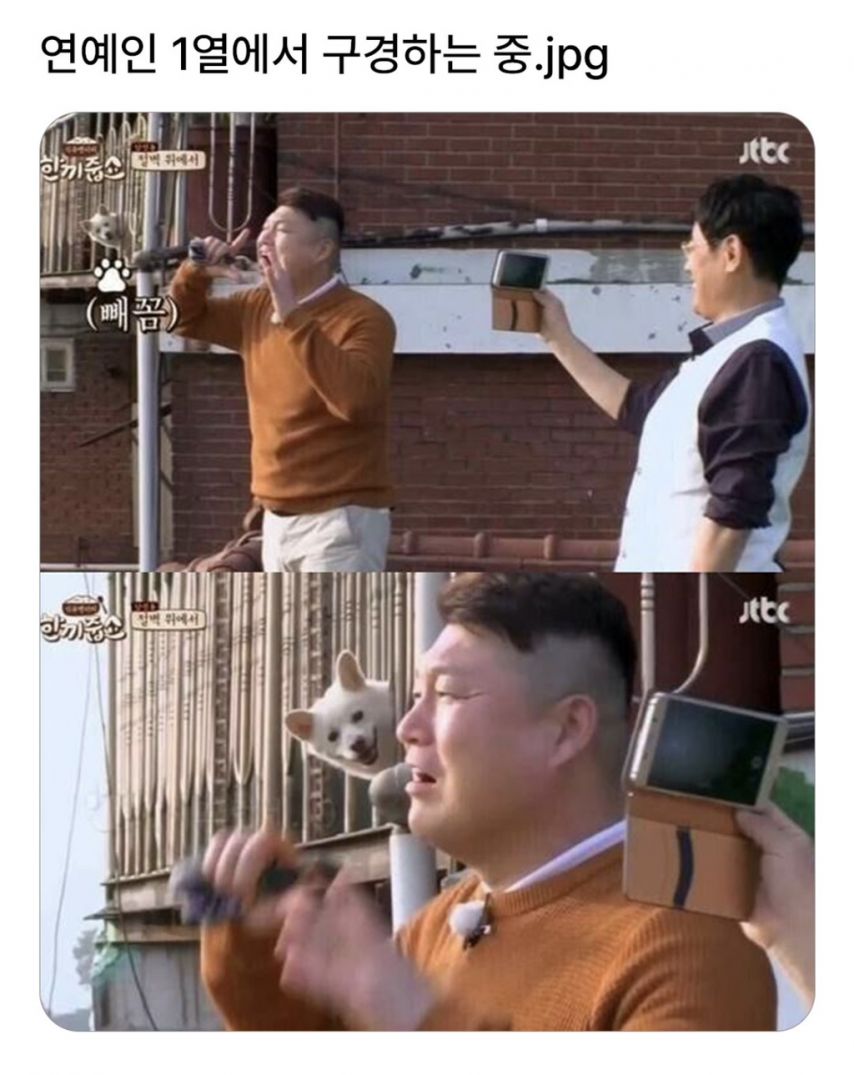 연예인 1열에서 구경중