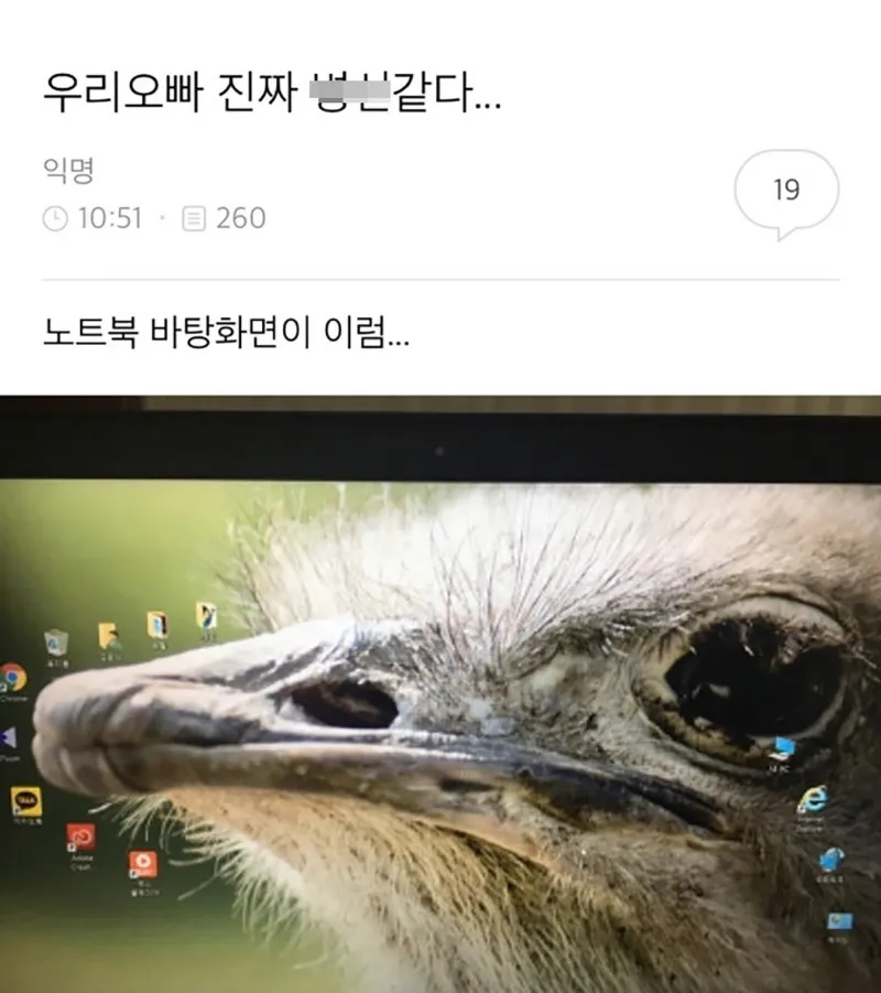 오빠 노트북 배경이 ㅂㅅ 같다는 익녀