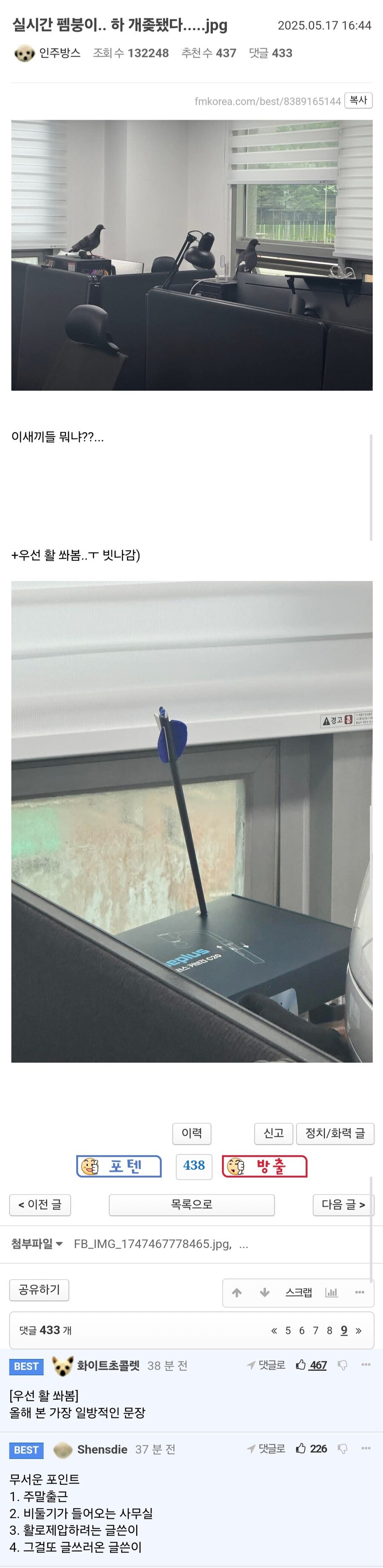 어제자 개좆된 펨코인