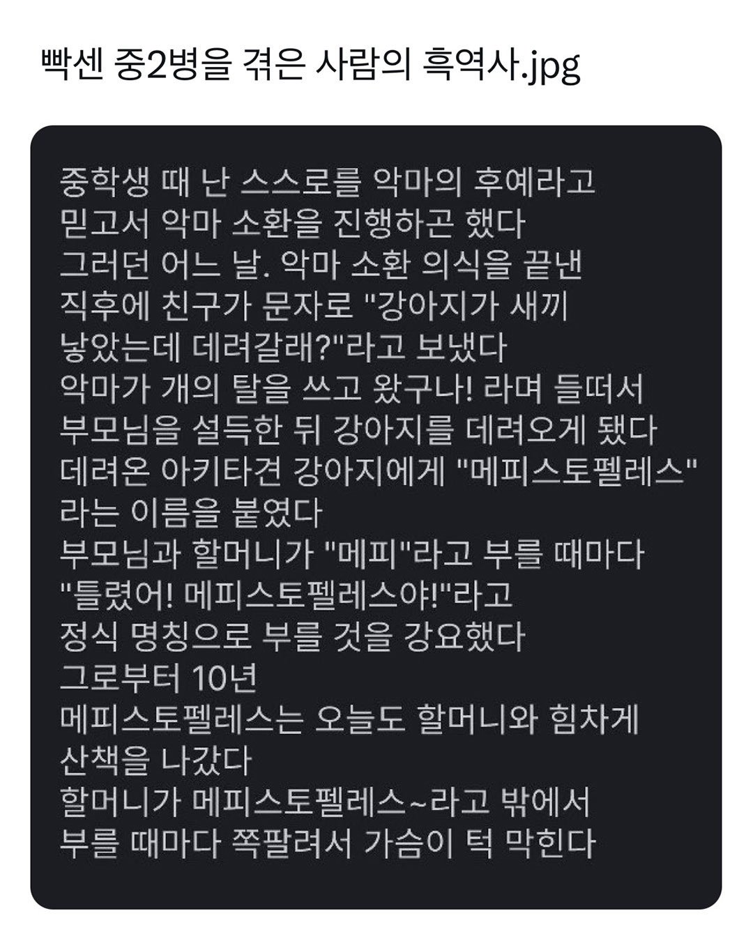 빡센 중2병을 겪은 사람의 흑역사