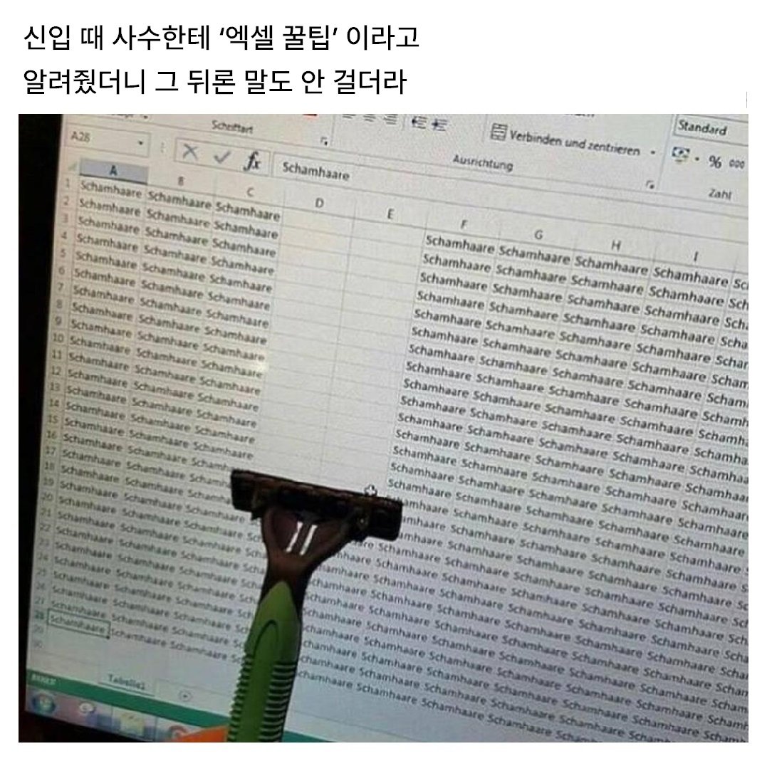 신입이 알려준 엑셀 비기