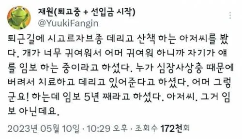 시고르자브종 키우는 아저씨