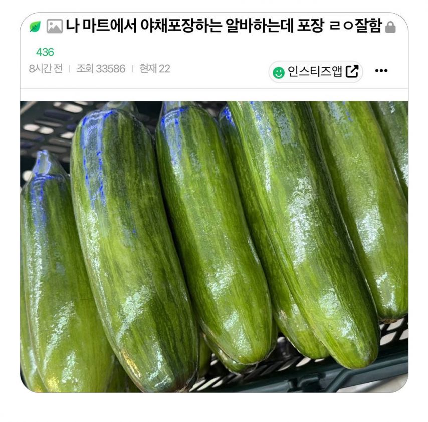 나 마트에서 야채포장하는 알바하는데 포장 ㄹㅇ잘함.jpg