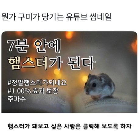 갈데까지 가버린 주파수 유튜브