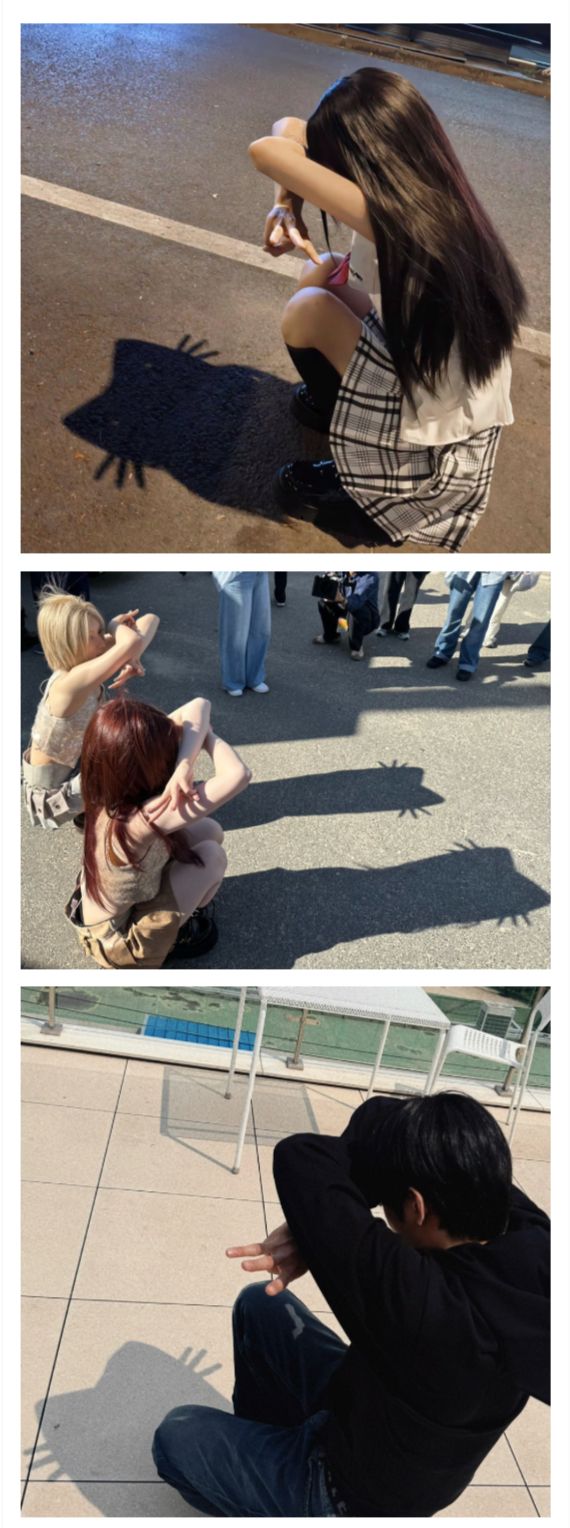 요즘  유행인 그림자 고양이 사진 찍기