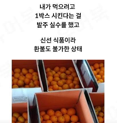 발주 실수가 불러온 초대박