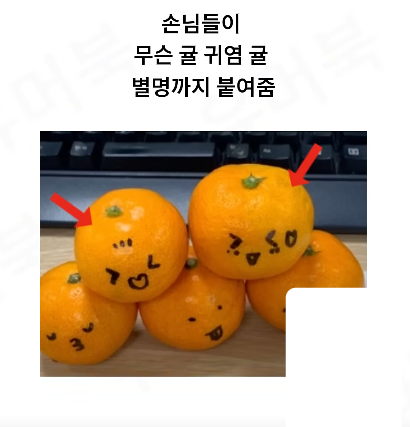 발주 실수가 불러온 초대박