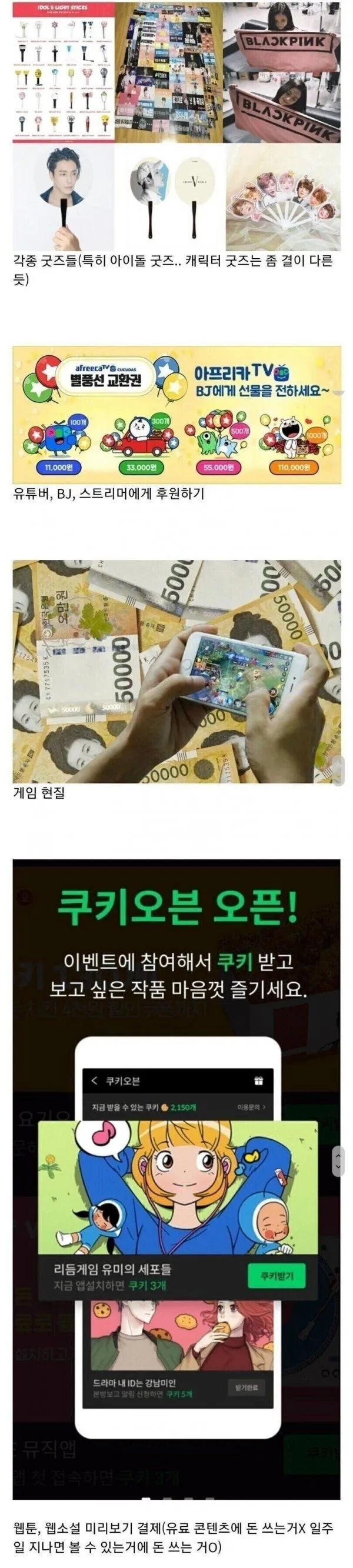 돈 안쓰는 사람은 이해하기 어려운 분야