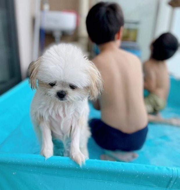 절실함이  느껴지는 당근 알바