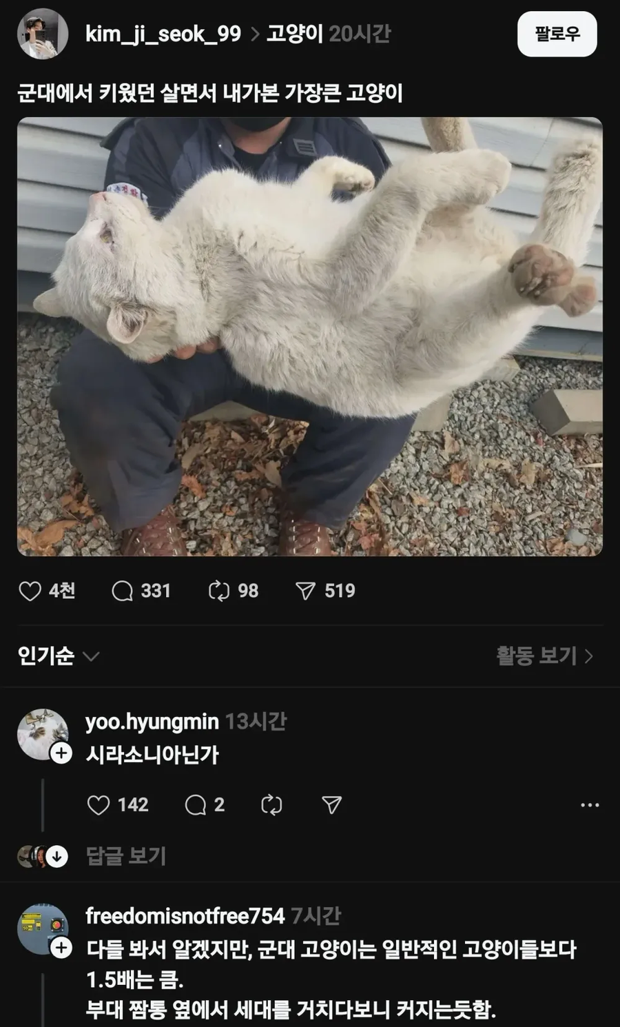 최대 크기 짬타이거.jpg