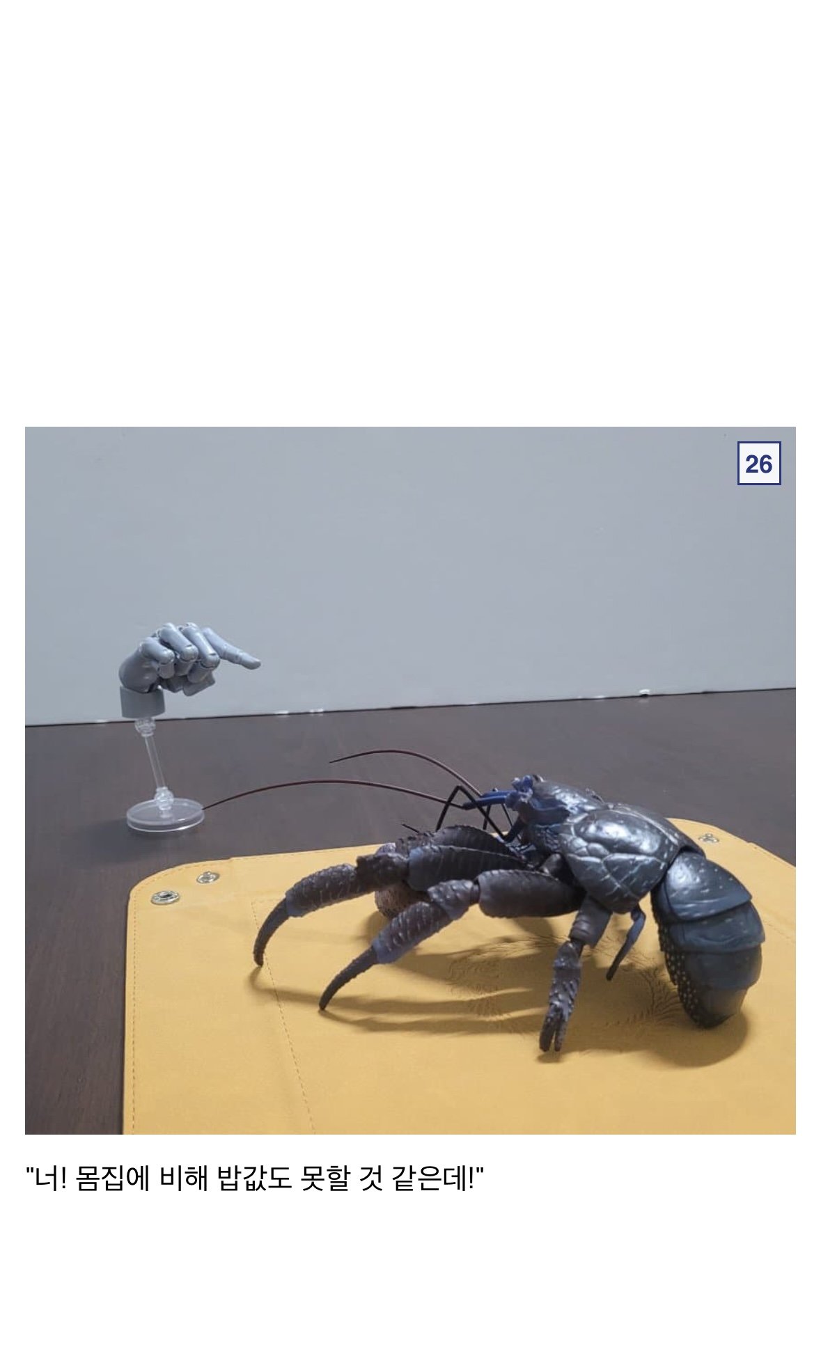 🦀싱글벙글 9만원짜리 코코넛 크랩.jpg