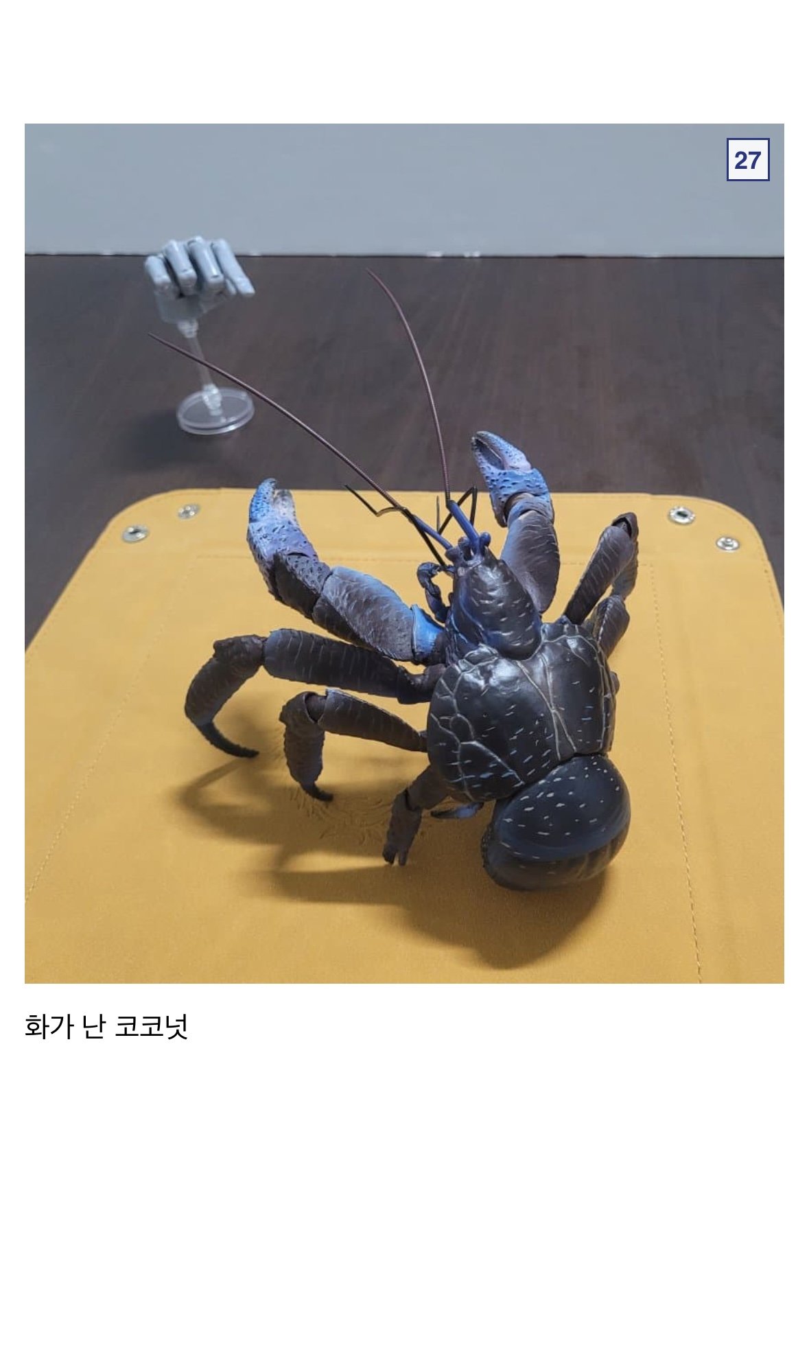 🦀싱글벙글 9만원짜리 코코넛 크랩.jpg