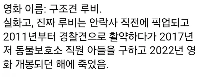 경찰견이 되어 은혜갚은 댕댕이