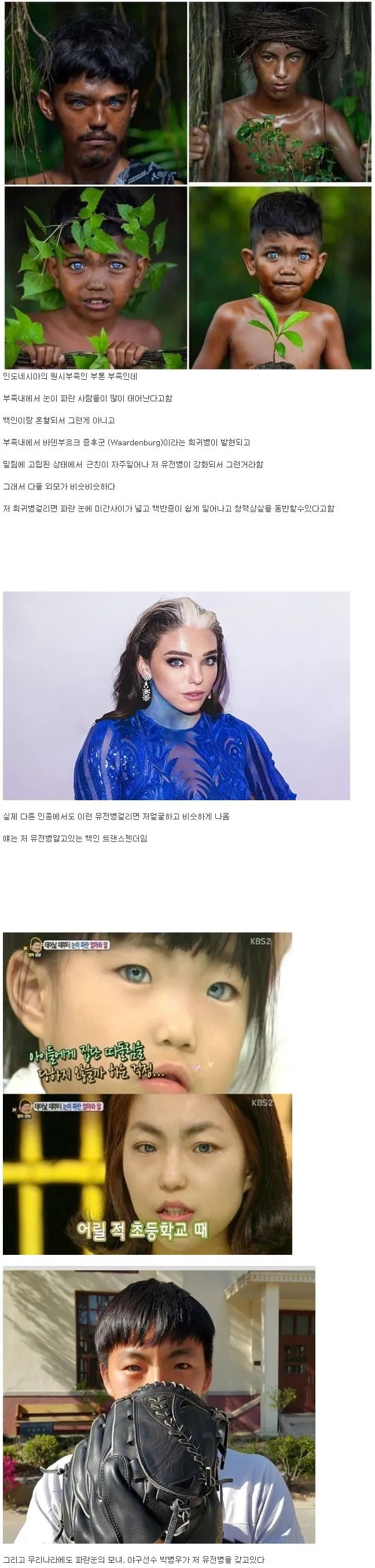 파란눈을 가진 동남아 원시부족.