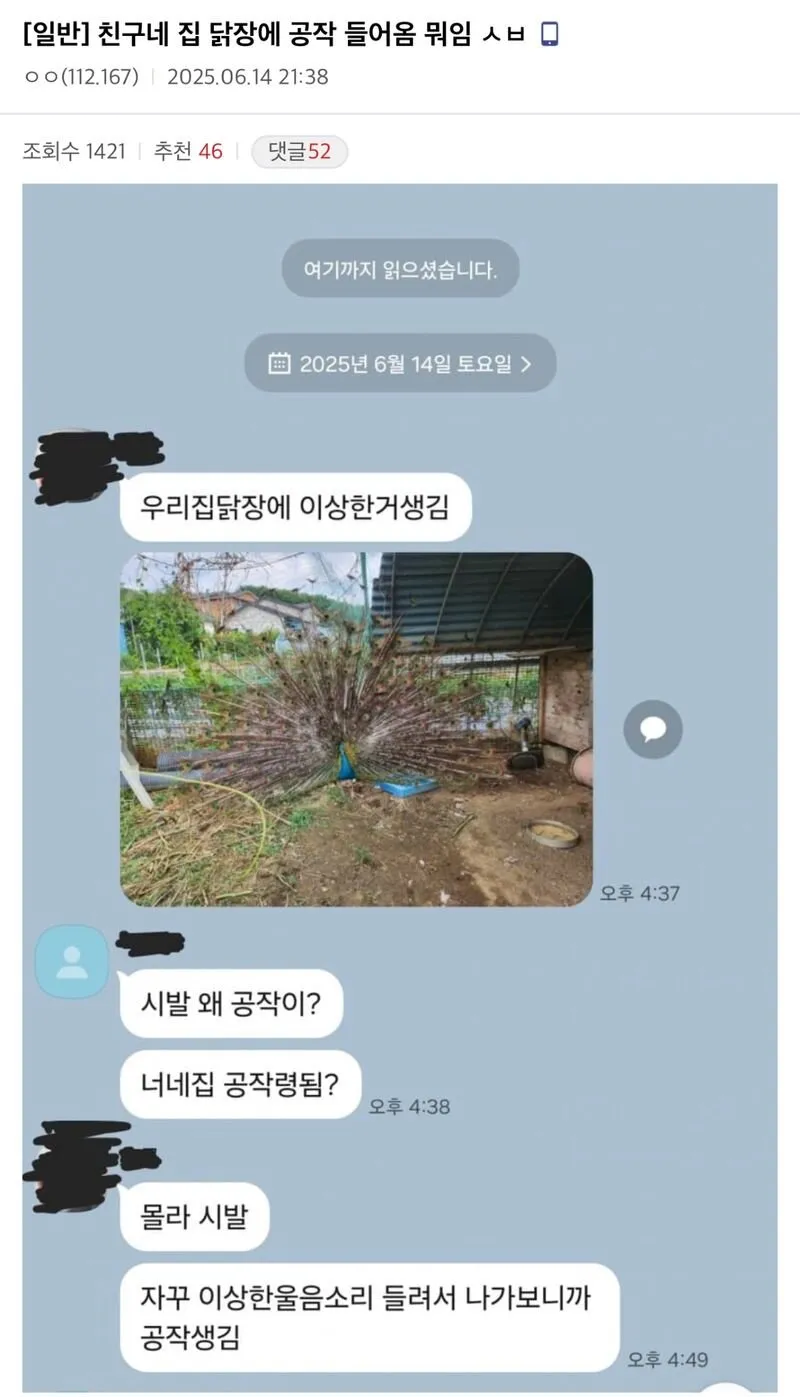 친구네 집 닭장에 공작 들어옴 뭐임?.jpg