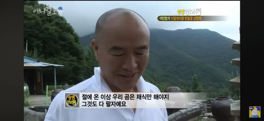 절에 살게 된 반달가슴곰의 운명