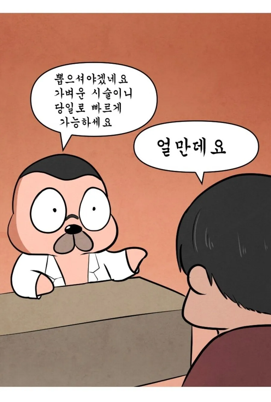 약혐?)하후돈이 현대한국에 환생.만화