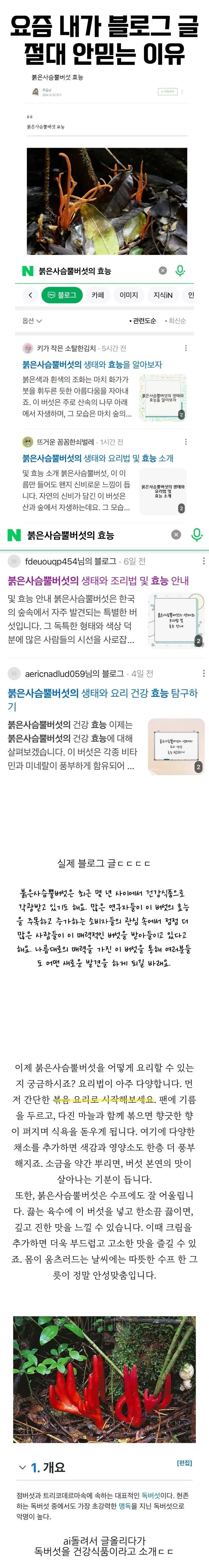 맛탱이 가버린 네이버 검색