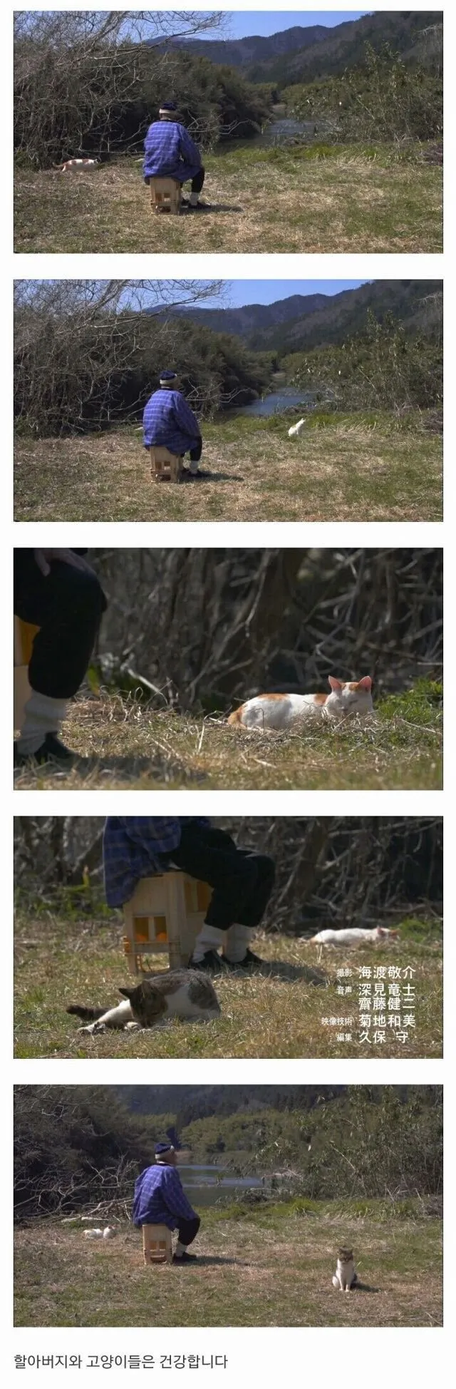 할아버지와 고양이