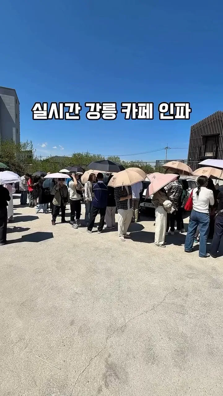 강릉 유명 카페 대기줄 .jpg