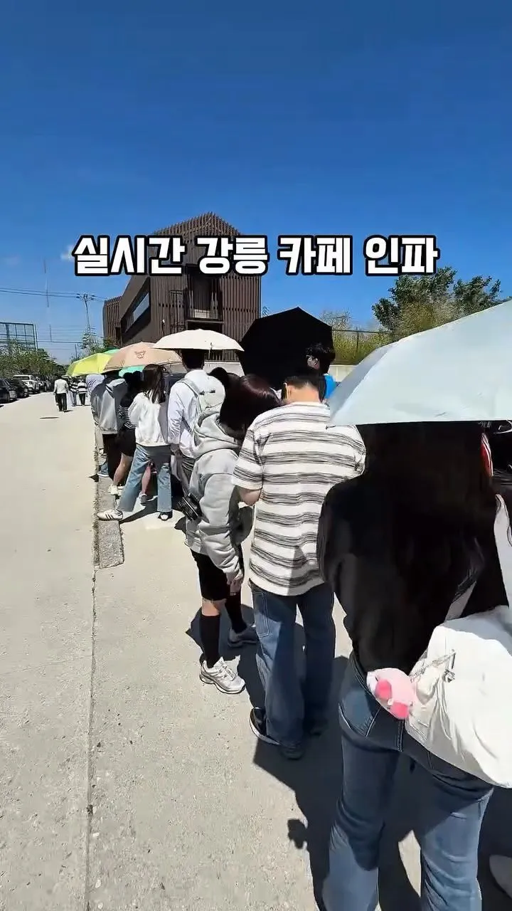 강릉 유명 카페 대기줄 .jpg