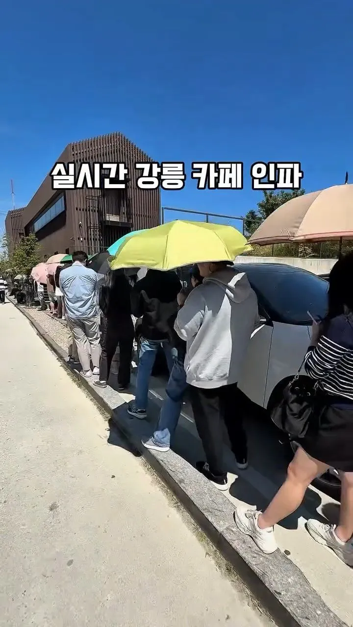 강릉 유명 카페 대기줄 .jpg