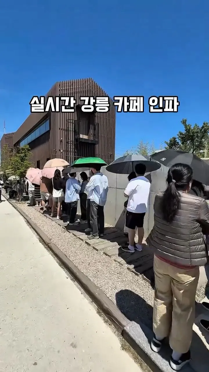 강릉 유명 카페 대기줄 .jpg