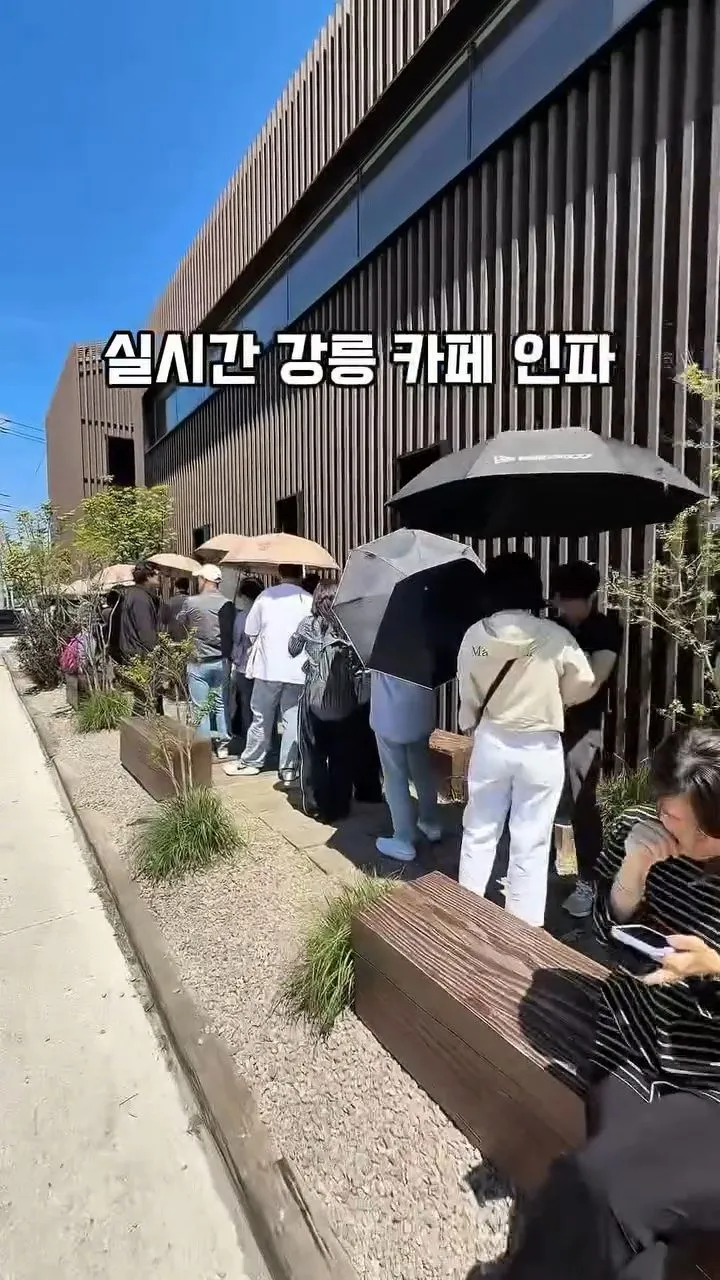 강릉 유명 카페 대기줄 .jpg