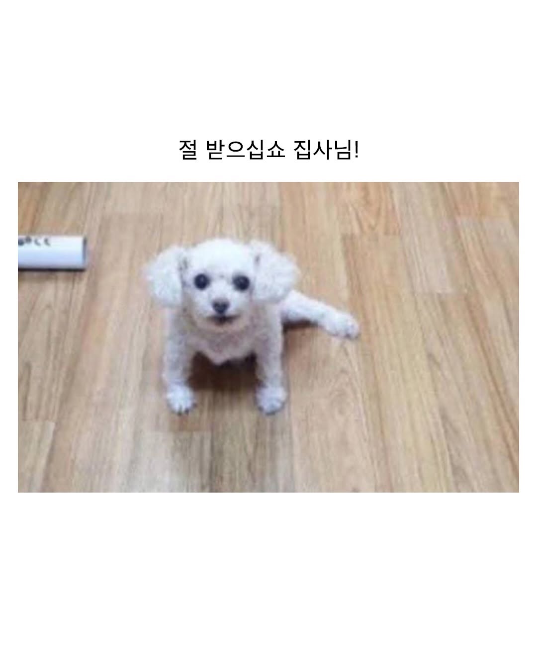 고구려식 인사법.jpg