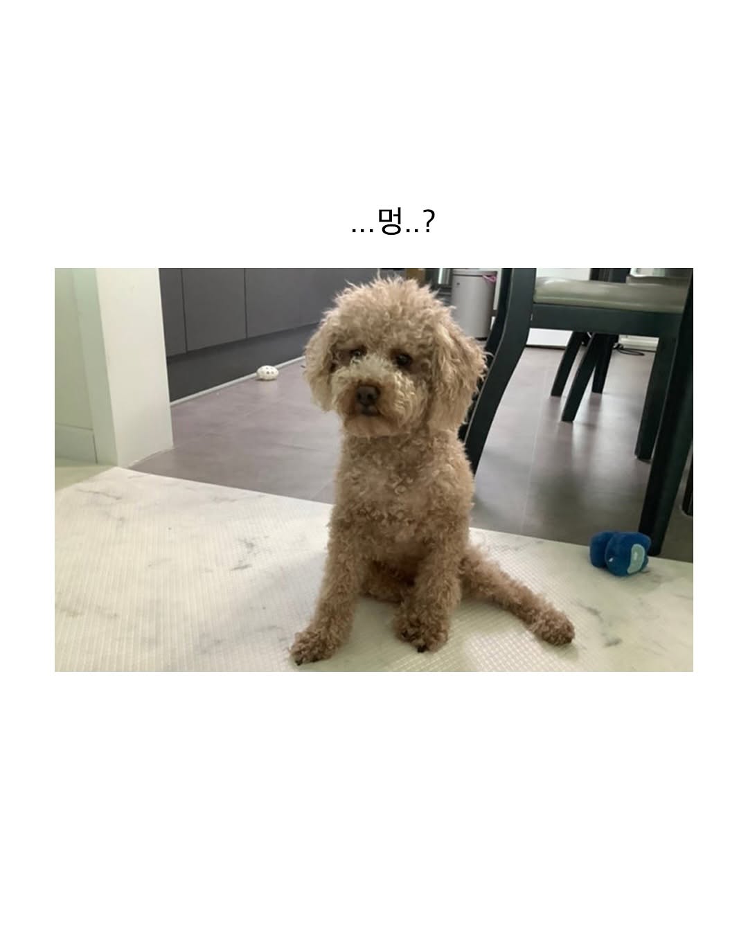 고구려식 인사법.jpg
