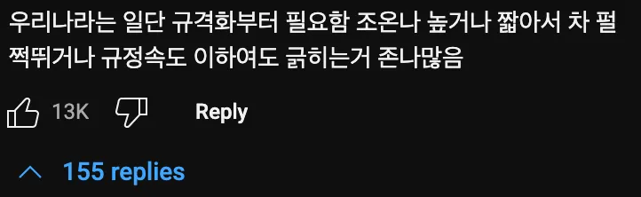 도입이 시급한 비뉴턴액체 방지턱🚧